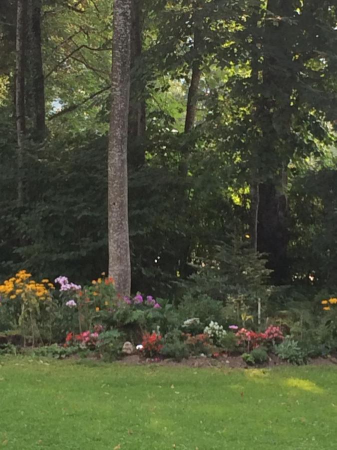 Fewo Schlosspark Grubhof Sankt Martin bei Lofer Eksteriør billede